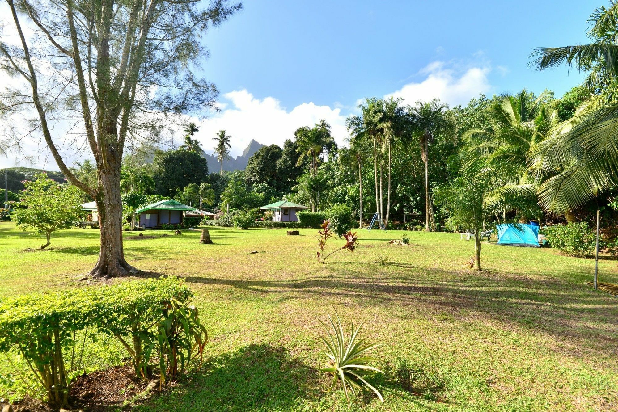 Mark'S Place Moorea Extérieur photo